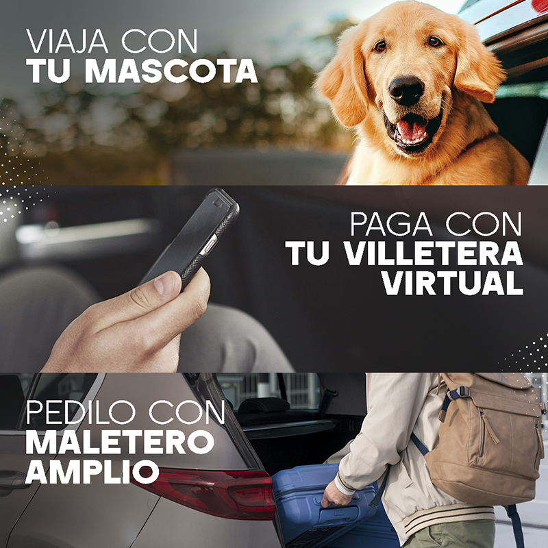Imagen 3